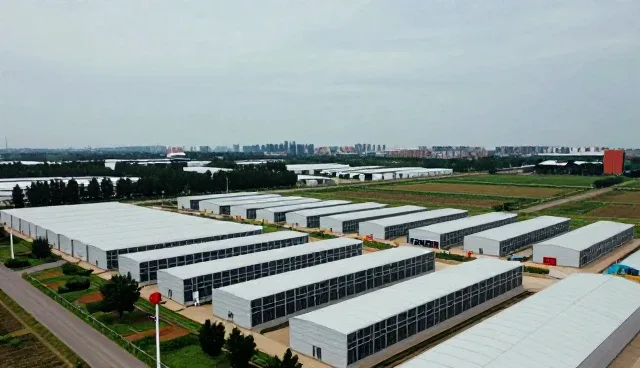 内容分发在流量转化中的多场景应用分析